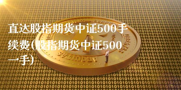 直达股指期货中证500手续费(股指期货中证500一手)