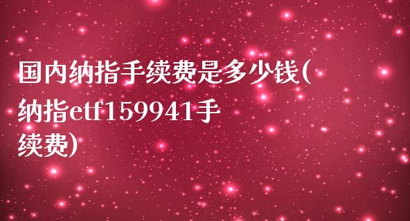 国内纳指手续费是多少钱(纳指etf159941手续费)