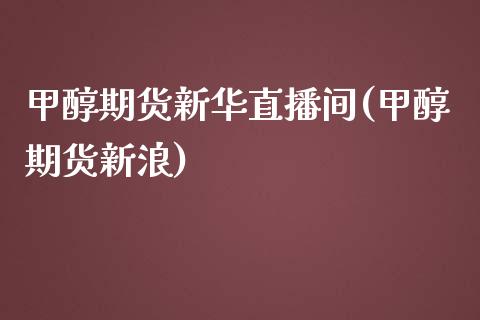 甲醇期货新华直播间(甲醇期货新浪)