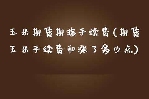 玉米期货期指手续费(期货玉米手续费和涨了多少点)