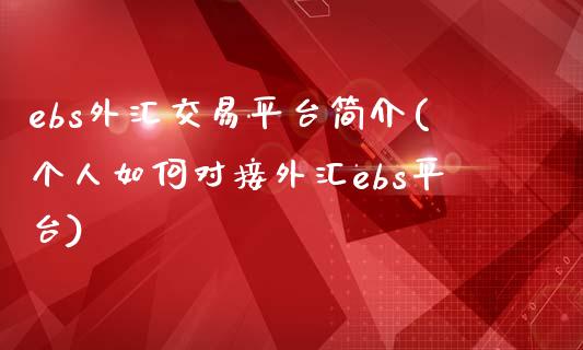 ebs外汇交易平台简介(个人如何对接外汇ebs平台)