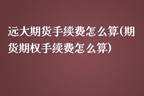 远大期货手续费怎么算(期货期权手续费怎么算)