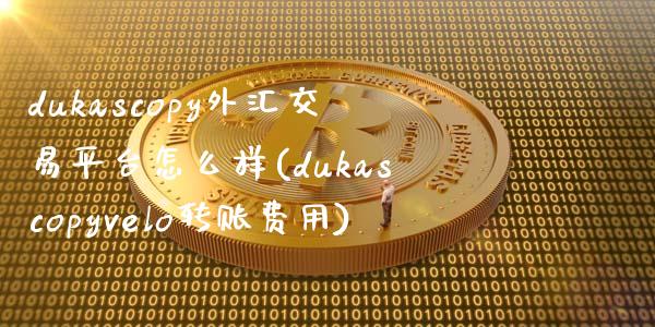 dukascopy外汇交易平台怎么样(dukascopyvelo转账费用)