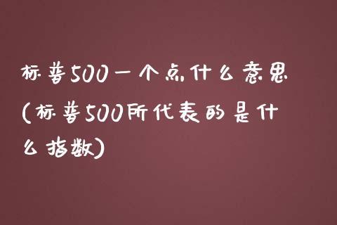 标普500一个点什么意思(标普500所代表的是什么指数)