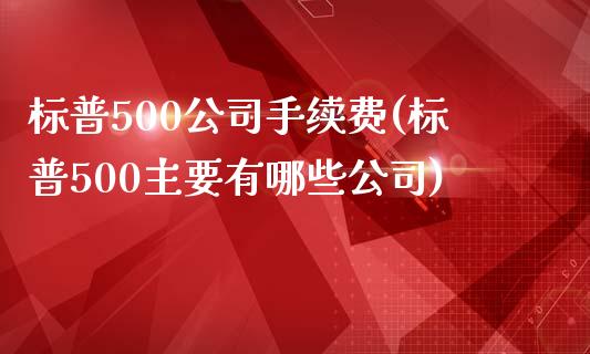 标普500公司手续费(标普500主要有哪些公司)