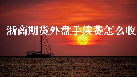 浙商期货外盘手续费怎么收