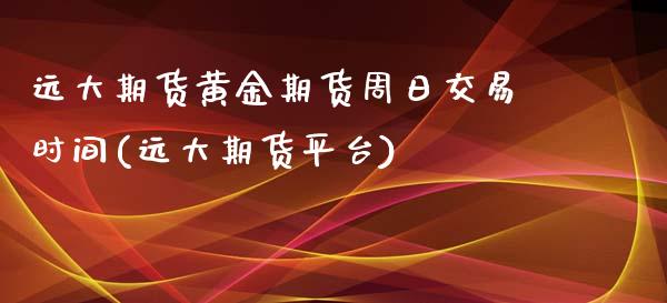 远大期货黄金期货周日交易时间(远大期货平台)