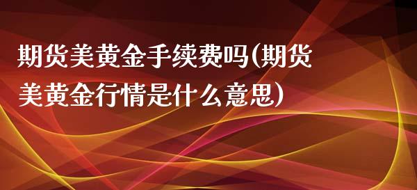 期货美黄金手续费吗(期货美黄金行情是什么意思)