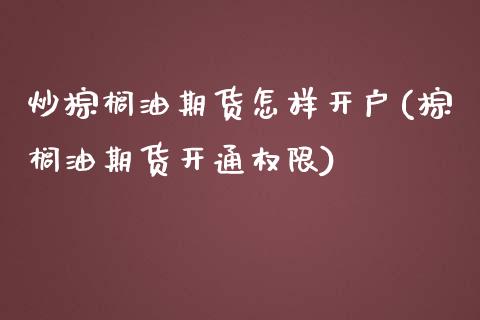 炒棕榈油期货怎样开户(棕榈油期货开通权限)