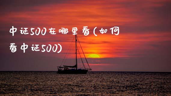 中证500在哪里看(如何看中证500)