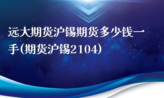 远大期货沪锡期货多少钱一手(期货沪锡2104)