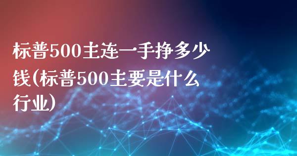 标普500主连一手挣多少钱(标普500主要是什么行业)