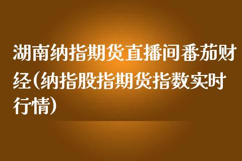 湖南纳指期货直播间番茄财经(纳指股指期货指数实时行情)