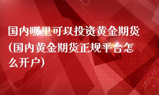 国内哪里可以投资黄金期货(国内黄金期货正规平台怎么开户)