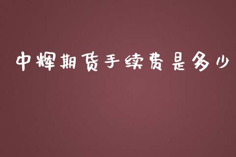 中辉期货手续费是多少