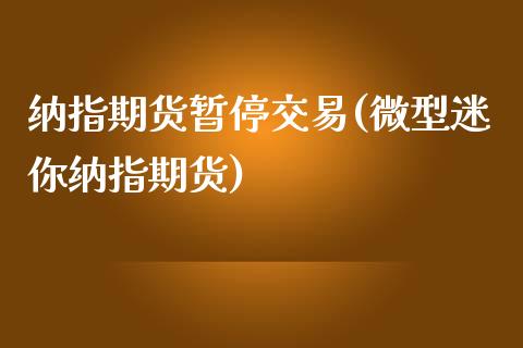 纳指期货暂停交易(微型迷你纳指期货)